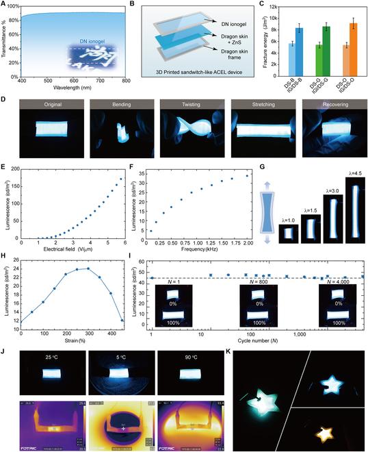 https://cdn.ncbi.nlm.nih.gov/pmc/blobs/80b0/10246561/9a5fa5cd73f7/research.0104.fig.006.jpg