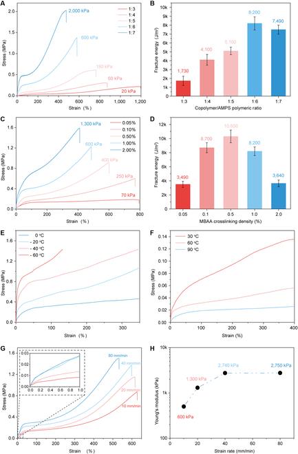 https://cdn.ncbi.nlm.nih.gov/pmc/blobs/80b0/10246561/c2524b2edf3a/research.0104.fig.003.jpg