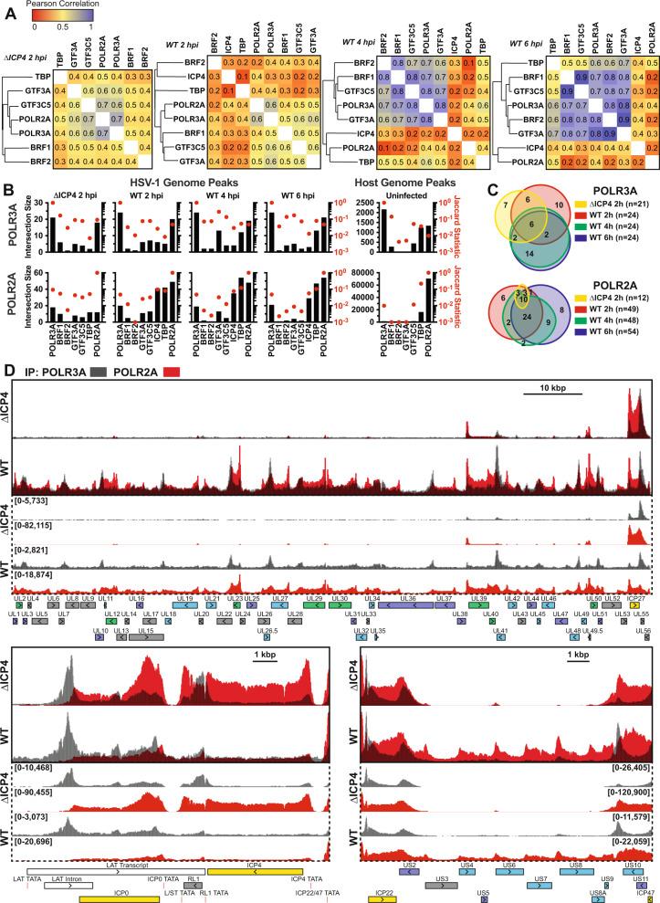 https://cdn.ncbi.nlm.nih.gov/pmc/blobs/80b1/8810925/b520d047d9b9/41467_2022_28144_Fig5_HTML.jpg