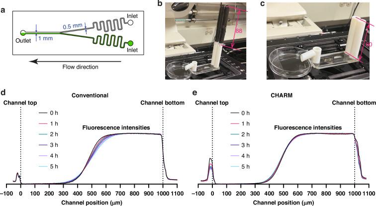 https://cdn.ncbi.nlm.nih.gov/pmc/blobs/80b2/12122956/13e96e012498/41378_2025_968_Fig4_HTML.jpg