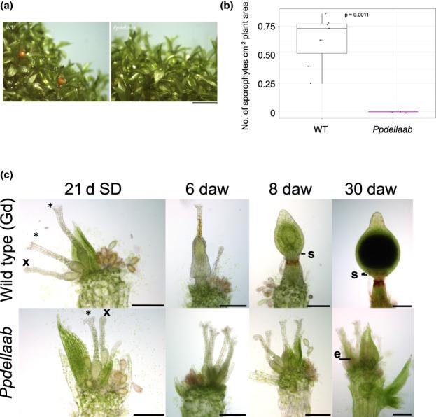 https://cdn.ncbi.nlm.nih.gov/pmc/blobs/80b4/10952515/7da9cd5987b6/NPH-238-654-g007.jpg