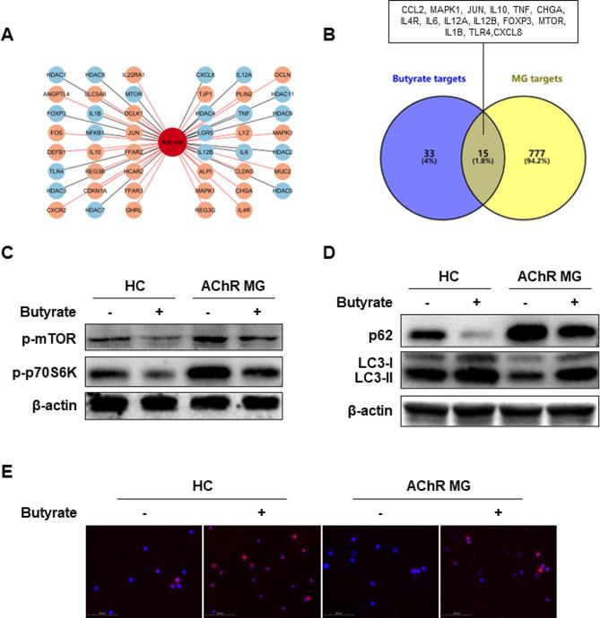 https://cdn.ncbi.nlm.nih.gov/pmc/blobs/80b5/10988943/7dd3d44fc78f/12964_2024_1588_Fig6_HTML.jpg