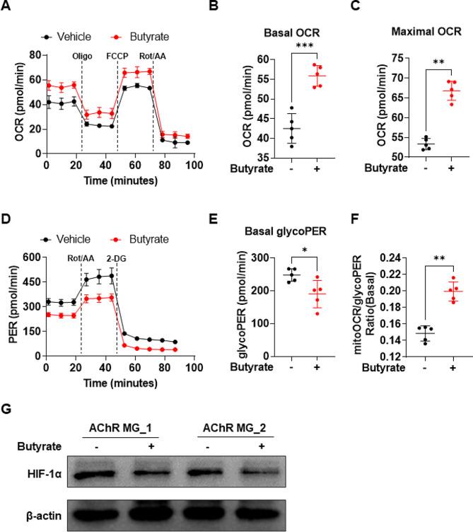 https://cdn.ncbi.nlm.nih.gov/pmc/blobs/80b5/10988943/955d9852699c/12964_2024_1588_Fig3_HTML.jpg