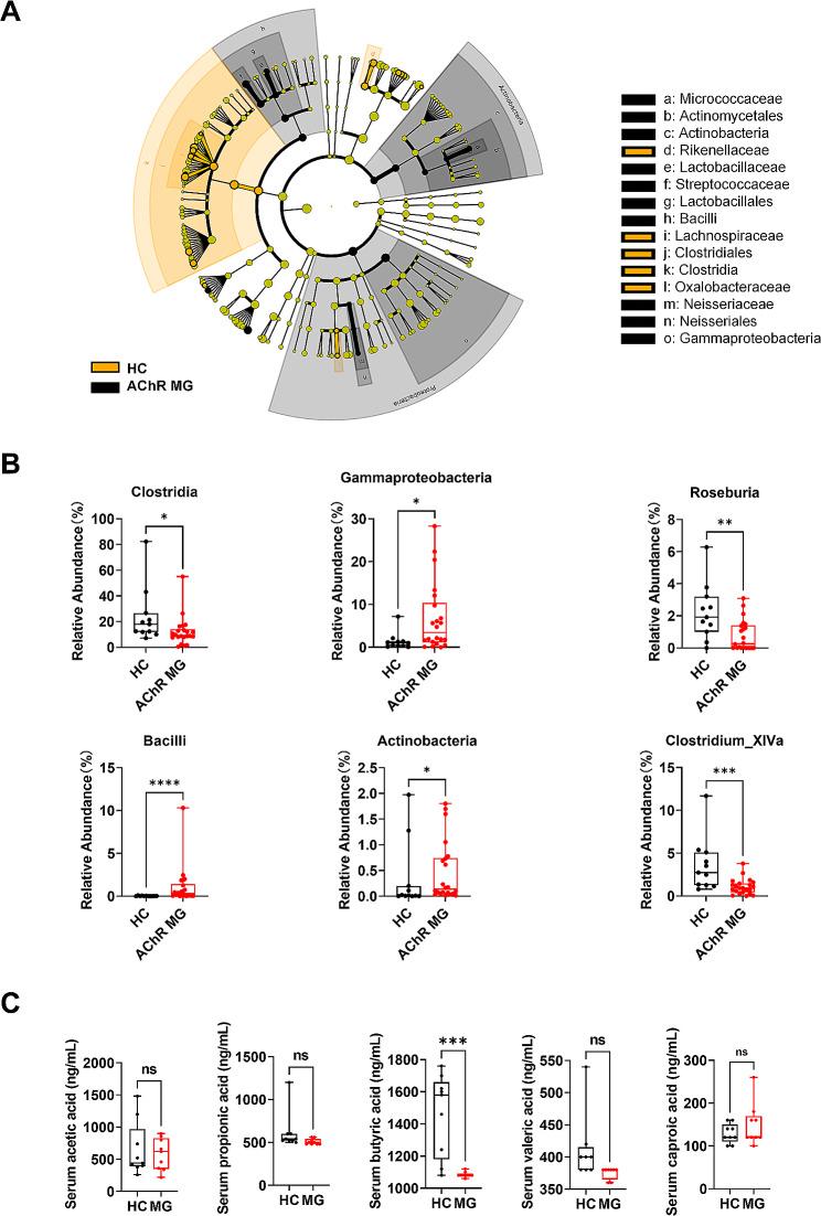 https://cdn.ncbi.nlm.nih.gov/pmc/blobs/80b5/10988943/a47a1a2ed9c8/12964_2024_1588_Fig1_HTML.jpg