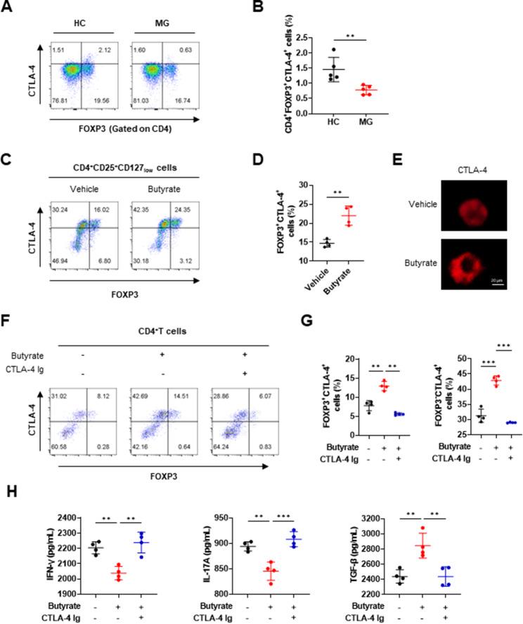 https://cdn.ncbi.nlm.nih.gov/pmc/blobs/80b5/10988943/d4a0cb032fd2/12964_2024_1588_Fig4_HTML.jpg