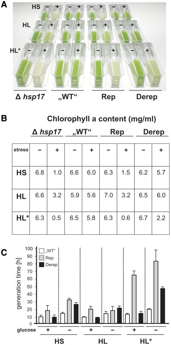 https://cdn.ncbi.nlm.nih.gov/pmc/blobs/80b5/3074152/eb125f80e659/gkq1252f7.jpg