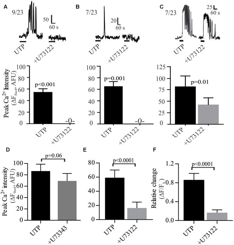 https://cdn.ncbi.nlm.nih.gov/pmc/blobs/80b5/5508028/3d24ae85a8c3/fphar-08-00429-g007.jpg