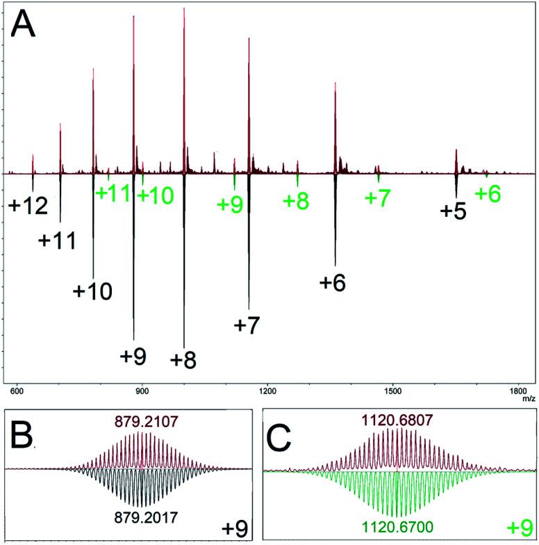 https://cdn.ncbi.nlm.nih.gov/pmc/blobs/80b5/8162455/81234392ae49/d0sc03992f-f3.jpg