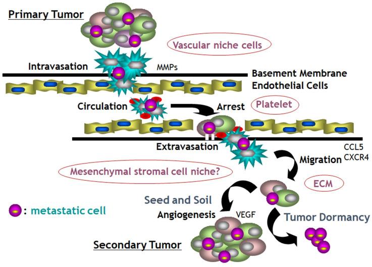 https://cdn.ncbi.nlm.nih.gov/pmc/blobs/80b6/10905407/6dd09d585de6/jcav15p1786g008.jpg