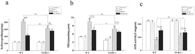 https://cdn.ncbi.nlm.nih.gov/pmc/blobs/80b8/5517415/08c7189cc9f2/41598_2017_6021_Fig3_HTML.jpg