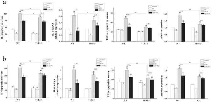 https://cdn.ncbi.nlm.nih.gov/pmc/blobs/80b8/5517415/d6bc5ac20e2d/41598_2017_6021_Fig8_HTML.jpg