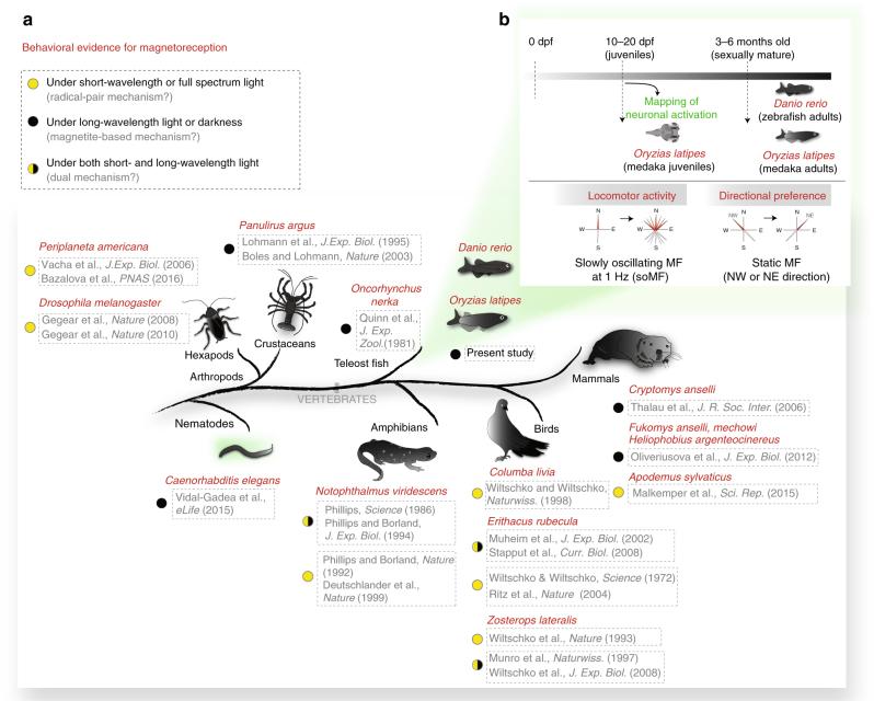 https://cdn.ncbi.nlm.nih.gov/pmc/blobs/80b9/5824813/8448c796ac90/41467_2018_3090_Fig1_HTML.jpg