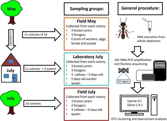 https://cdn.ncbi.nlm.nih.gov/pmc/blobs/80ba/6912891/0da371f7651a/ECE3-9-13450-g002.jpg