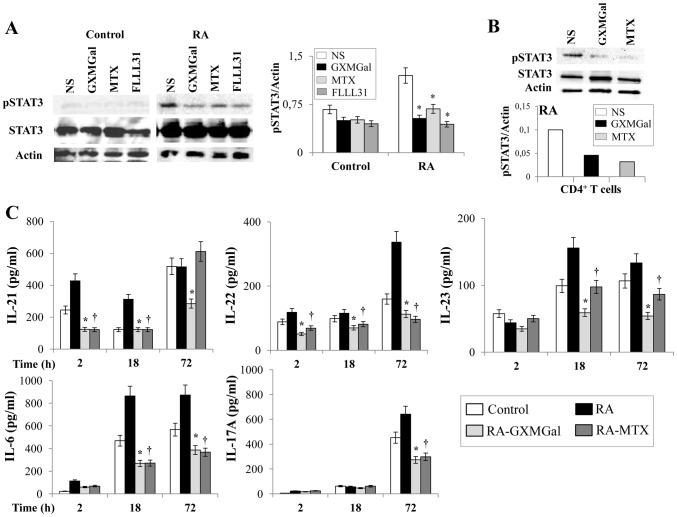 https://cdn.ncbi.nlm.nih.gov/pmc/blobs/80bb/4206502/972354a94d2b/pone.0111163.g006.jpg