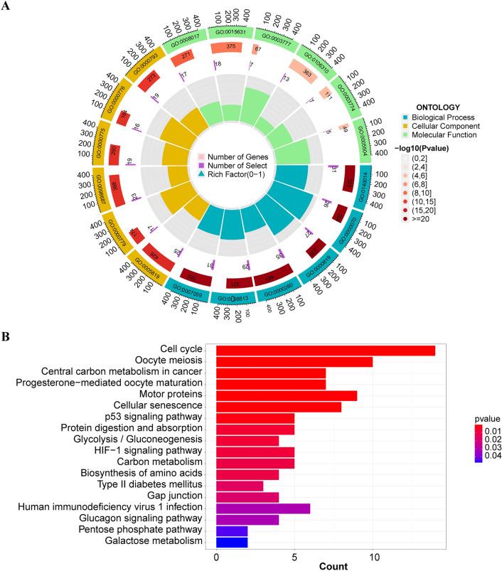 https://cdn.ncbi.nlm.nih.gov/pmc/blobs/80bd/10883983/0aa308a1ff61/41598_2024_54115_Fig4_HTML.jpg