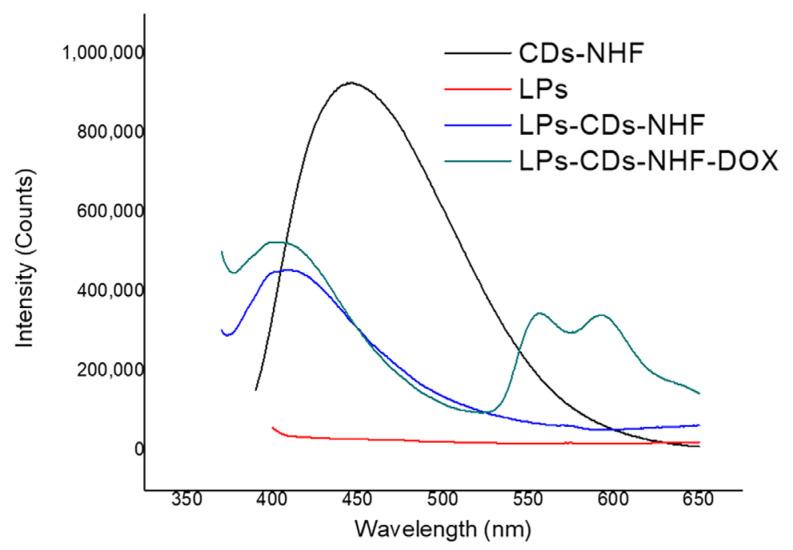 https://cdn.ncbi.nlm.nih.gov/pmc/blobs/80bd/12347740/f4db82ccf7af/ijms-26-07535-g003.jpg