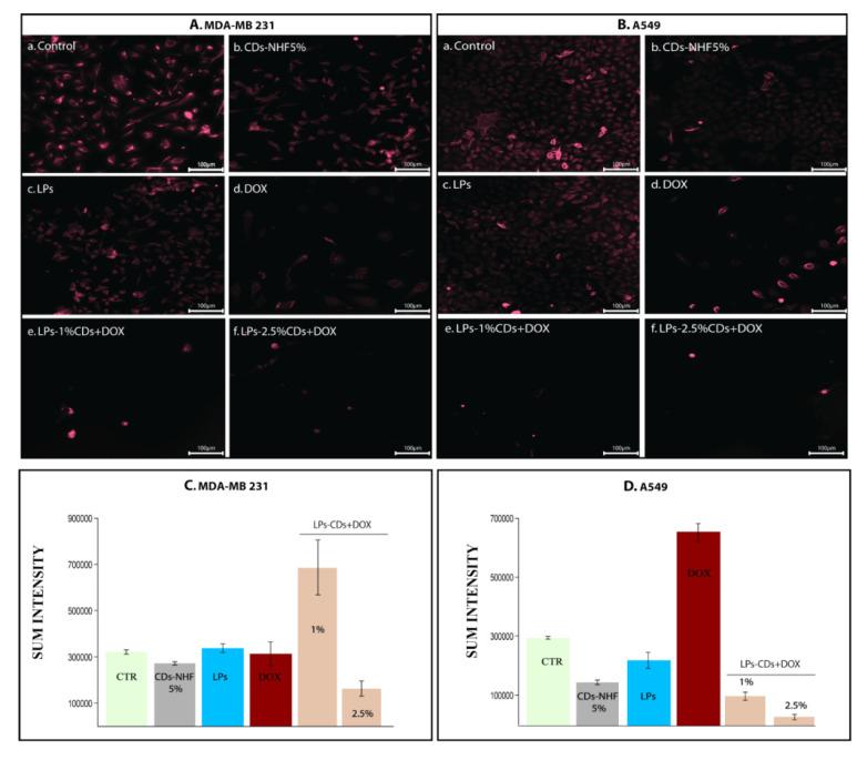 https://cdn.ncbi.nlm.nih.gov/pmc/blobs/80bd/12347740/fa20399c828b/ijms-26-07535-g008.jpg