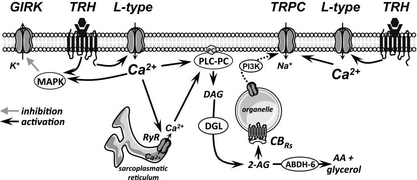 https://cdn.ncbi.nlm.nih.gov/pmc/blobs/80be/4935505/4905cf082fca/zh60101690050005.jpg