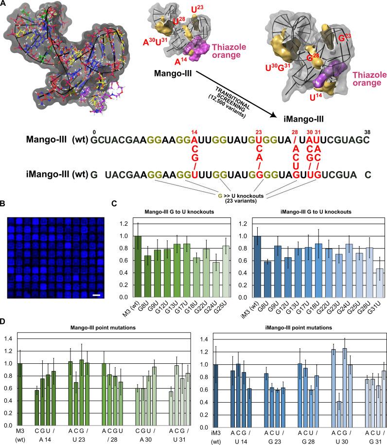 https://cdn.ncbi.nlm.nih.gov/pmc/blobs/80c2/11290486/caf784deac81/sciadv.ado6762-f7.jpg