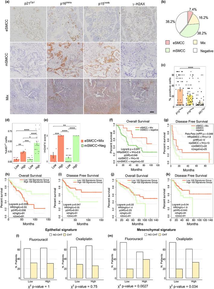 https://cdn.ncbi.nlm.nih.gov/pmc/blobs/80c4/10352575/4351c462924d/ACEL-22-e13853-g003.jpg