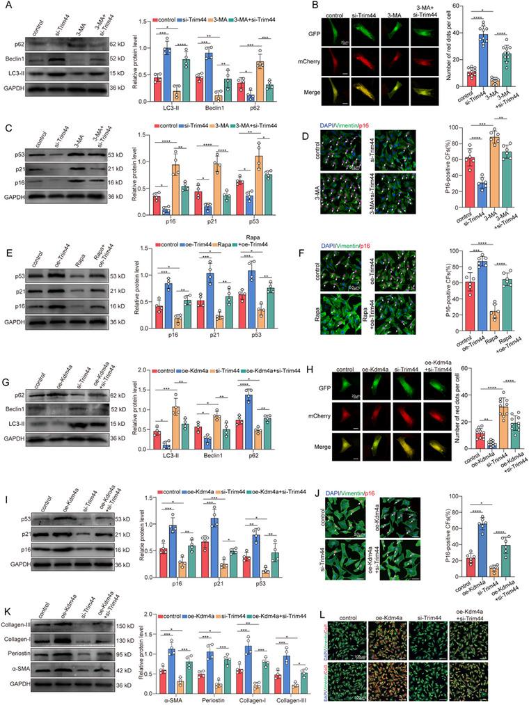 https://cdn.ncbi.nlm.nih.gov/pmc/blobs/80c4/12140349/e2c80adea782/ADVS-12-2414830-g006.jpg
