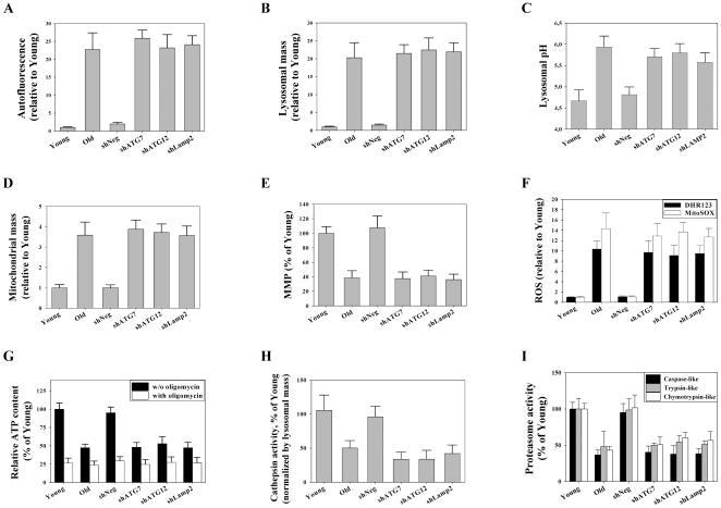 https://cdn.ncbi.nlm.nih.gov/pmc/blobs/80c6/3152578/7c98594643fc/pone.0023367.g003.jpg