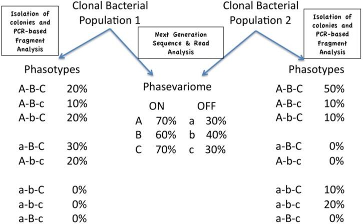 https://cdn.ncbi.nlm.nih.gov/pmc/blobs/80c6/4235727/6be5da95d7e4/pathogens-03-00164-g001.jpg