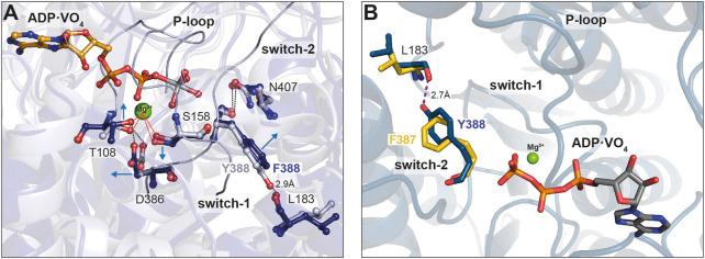https://cdn.ncbi.nlm.nih.gov/pmc/blobs/80c7/11181000/db2347e958bc/fphys-15-1393952-g007.jpg