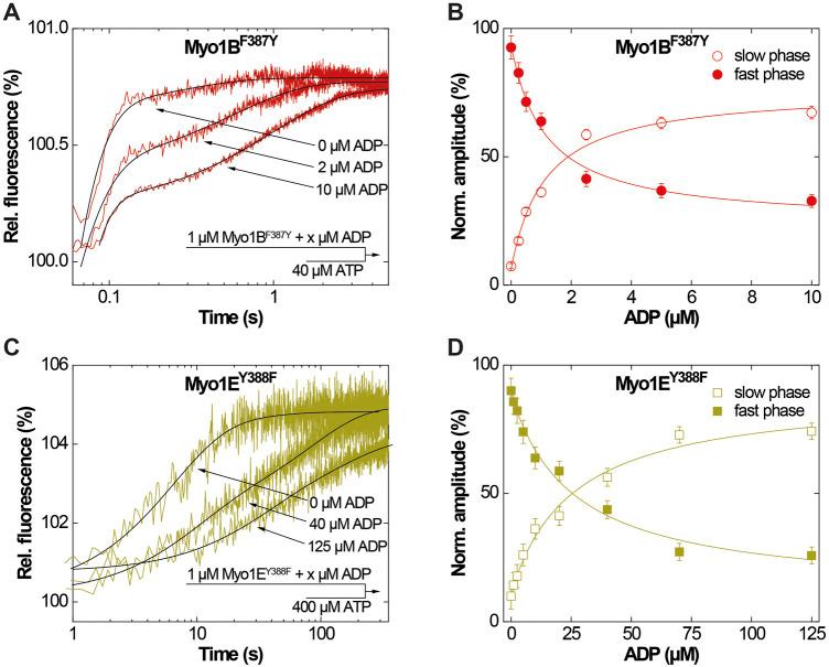 https://cdn.ncbi.nlm.nih.gov/pmc/blobs/80c7/11181000/f127f0a4e1b8/fphys-15-1393952-g003.jpg