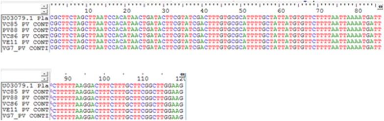 https://cdn.ncbi.nlm.nih.gov/pmc/blobs/80c9/6263541/cf348b442281/12936_2018_2588_Fig4_HTML.jpg