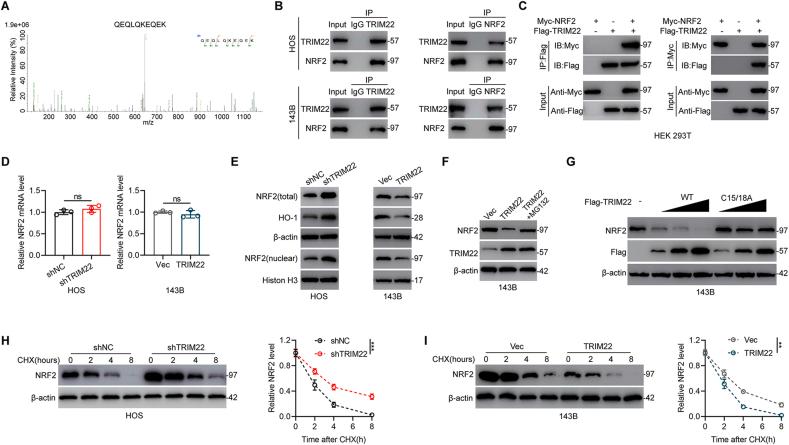 https://cdn.ncbi.nlm.nih.gov/pmc/blobs/80c9/9144049/3f1e12ad6c3b/gr4.jpg