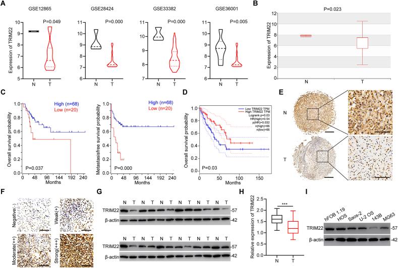 https://cdn.ncbi.nlm.nih.gov/pmc/blobs/80c9/9144049/5b00d65becfd/gr1.jpg