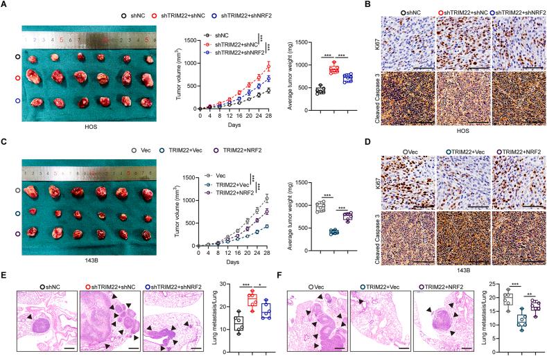 https://cdn.ncbi.nlm.nih.gov/pmc/blobs/80c9/9144049/a7c5444d26cc/gr7.jpg