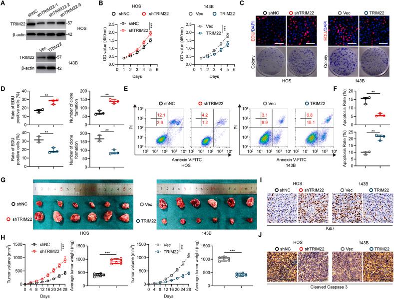 https://cdn.ncbi.nlm.nih.gov/pmc/blobs/80c9/9144049/d166fed0af62/gr2.jpg