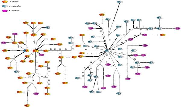 https://cdn.ncbi.nlm.nih.gov/pmc/blobs/80ca/2958917/2d859739cb68/1471-2148-10-293-5.jpg