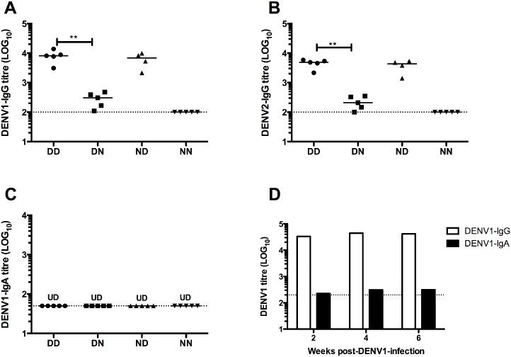 https://cdn.ncbi.nlm.nih.gov/pmc/blobs/80ca/4920417/07eea4f473ec/pntd.0004805.g002.jpg