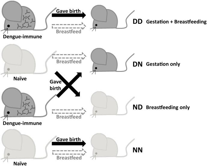https://cdn.ncbi.nlm.nih.gov/pmc/blobs/80ca/4920417/4399336a5d4b/pntd.0004805.g001.jpg