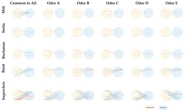 https://cdn.ncbi.nlm.nih.gov/pmc/blobs/80cb/12025641/dc7ebd61a33d/entropy-27-00328-g010.jpg