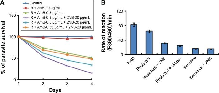 https://cdn.ncbi.nlm.nih.gov/pmc/blobs/80cc/4887065/2e50be456781/dddt-10-1753Fig3.jpg