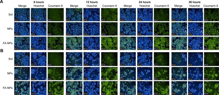 https://cdn.ncbi.nlm.nih.gov/pmc/blobs/80cc/5098748/c93a25c627ce/ijn-11-5709Fig6.jpg