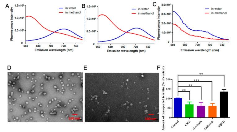 https://cdn.ncbi.nlm.nih.gov/pmc/blobs/80cc/8201319/ec2b714db16a/molecules-26-03450-g007.jpg