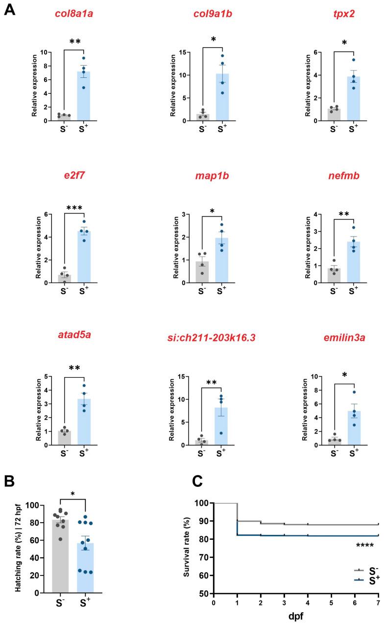 https://cdn.ncbi.nlm.nih.gov/pmc/blobs/80cd/10531283/42916e62f220/ijms-24-14107-g003.jpg