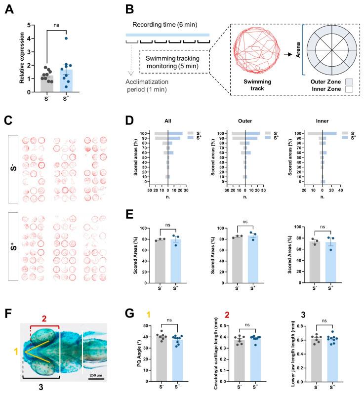 https://cdn.ncbi.nlm.nih.gov/pmc/blobs/80cd/10531283/ad7133d629df/ijms-24-14107-g004.jpg