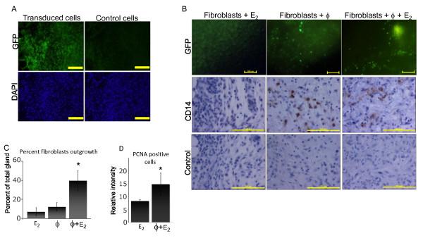 https://cdn.ncbi.nlm.nih.gov/pmc/blobs/80cd/3446360/5a3196963802/bcr3215-2.jpg