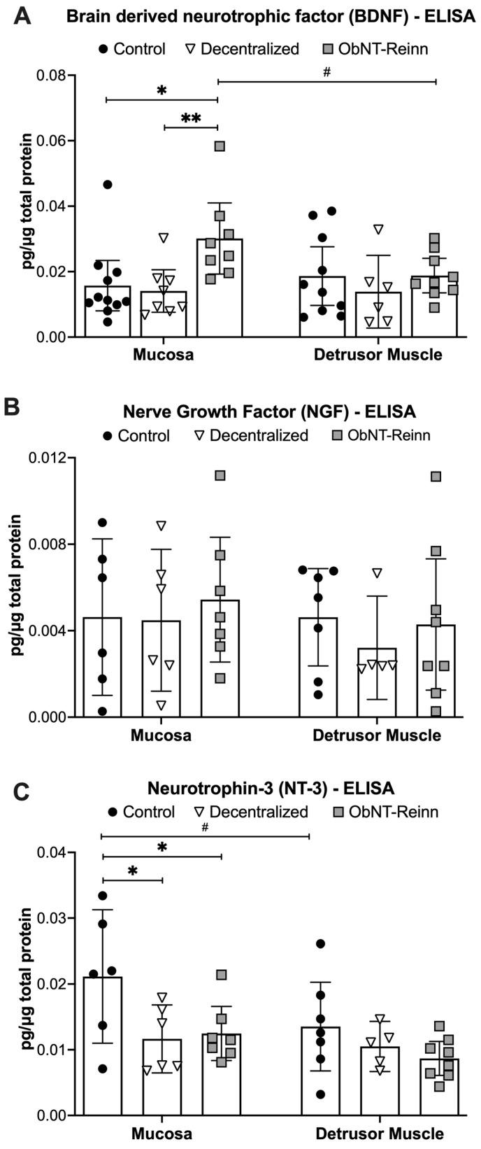 https://cdn.ncbi.nlm.nih.gov/pmc/blobs/80cf/11941061/257ac905e023/cells-14-00406-g002.jpg