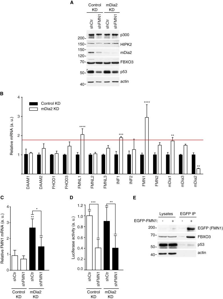 https://cdn.ncbi.nlm.nih.gov/pmc/blobs/80cf/4390252/af8909c3acf7/zjw0041550190005.jpg