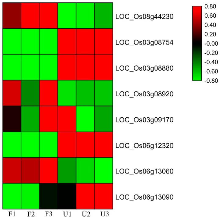 https://cdn.ncbi.nlm.nih.gov/pmc/blobs/80cf/7760126/9770d444a82c/genes-11-01395-g006.jpg