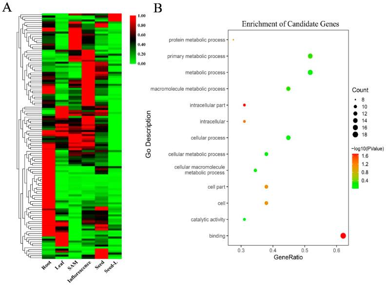 https://cdn.ncbi.nlm.nih.gov/pmc/blobs/80cf/7760126/a92e12d4f29d/genes-11-01395-g005.jpg