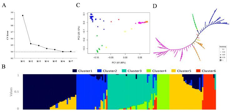 https://cdn.ncbi.nlm.nih.gov/pmc/blobs/80cf/7760126/d23d2153b42a/genes-11-01395-g003.jpg