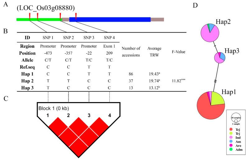https://cdn.ncbi.nlm.nih.gov/pmc/blobs/80cf/7760126/ed404dd2edaa/genes-11-01395-g008.jpg